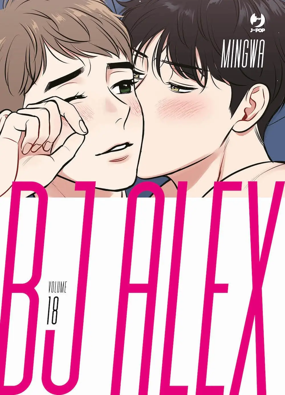 Volume cover